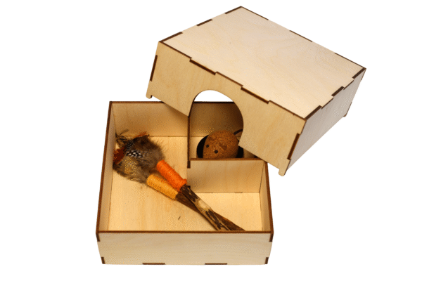 Shelter (scenario and container)